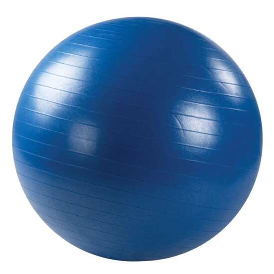 Заказать онлайн Мяч гимнастический синий (Фитбол) ОРТОСИЛА L 0175 b, диаметр 75 см. в интернет-магазине Город здоровья с доставкой по Хабаровску и всей России недорого